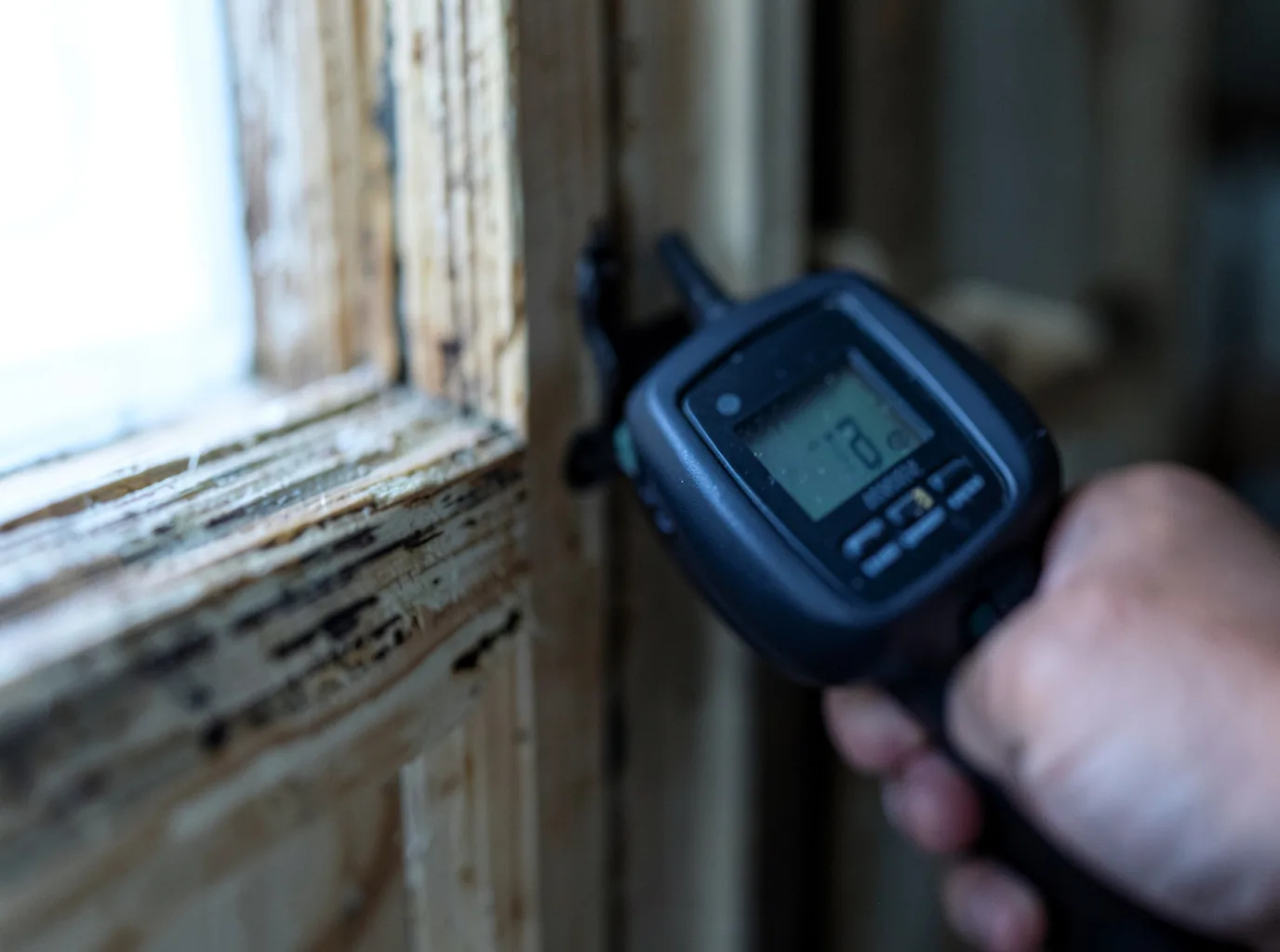 Moisture Inspection And Documentation in Salix, IA